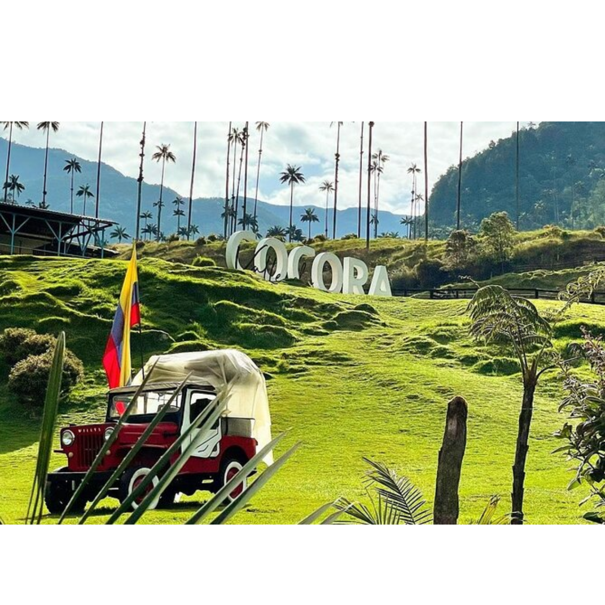 Valle del Cocora